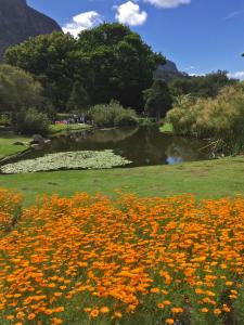 Kirstenbosch Botanical Garden